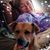 Darla Wiltse's profile image
