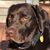 Eileen Fausch Hohwald's profile image
