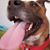 Lisa Cameron Lewis's profile image