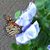 Joanne Butler's profile image