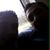 Ayham Musa's profile image