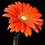 Pat Washinowski's profile image