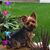 Nancee Jensen Lacek's profile image