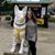 Holly Sasso Briggs's profile image