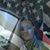 Shannon Scanlan's profile image