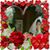 Candi Baumgartner-Murphy's profile image