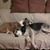 Michelle Garrison Wissmueller's profile image