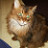 Tina's profile image