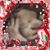 Wendy Cox Evans's profile image