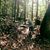 Chelsee Payge Miller's profile image