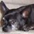 Danae Sanchez's profile image