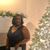 Terri Collins Melton's profile image