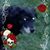 Donna Rusher's profile image