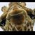 Sandy Paters's profile image