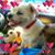 Debbie Tinker's profile image