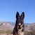 Sue Mount's profile image
