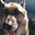 Debra Weir's profile image