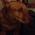 Dean Wiener's profile image