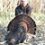 Todd Veenstra's profile image