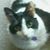 Jennifer Dyke's profile image