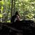 Ina Jean Warrick's profile image