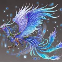 Lisa Phoenix's profile image