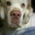 Amylyn Kyler's profile image