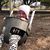 Suzanne Middleton Crouch's profile image