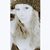 Jessica Lynn Donaldson's profile image