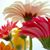Lisa Robins's profile image