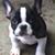 Mike Lewis's profile image