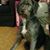 JoAnna Reese Lowther's profile image