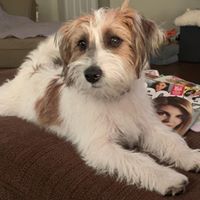 Kristen Todd's profile image