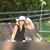 Tania Faustino's profile image
