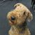 Sheryl Stern Crary's profile image