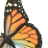 Janette Bird-Fuller's profile image
