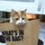 Michele Spier's profile image