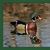 Jeanne Charest's profile image