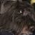 Beauregard Keil's profile image