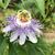 Nancy Moore Rocke's profile image
