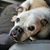 Luis R. Hurtado's profile image