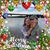 Norie Thompson's profile image