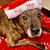 Linda Lee Chambers Brown's profile image