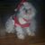 Diane Mcdonald's profile image