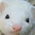 Richard Manferret Flinn's profile image