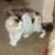 Gail Hutchins's profile image
