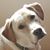 Kallien Byer's profile image