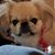 Beth Millican's profile image