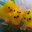 Tedd P's profile image