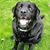 Lynn Anderson Votava's profile image